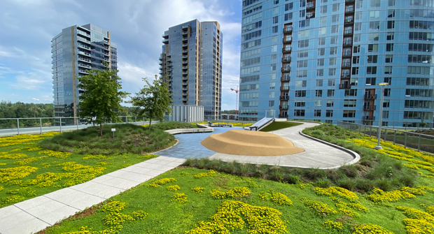 (Photo courtesy of Pacific Landscape Management)