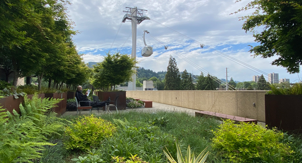 (Photo courtesy of Pacific Landscape Management)