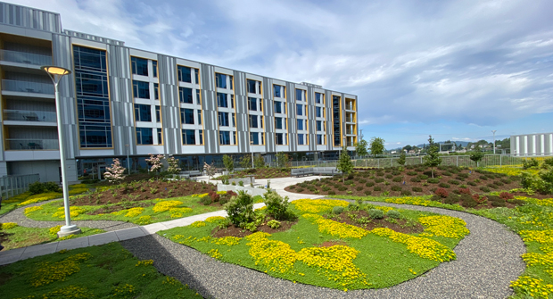 (Photo courtesy of Pacific Landscape Management)
