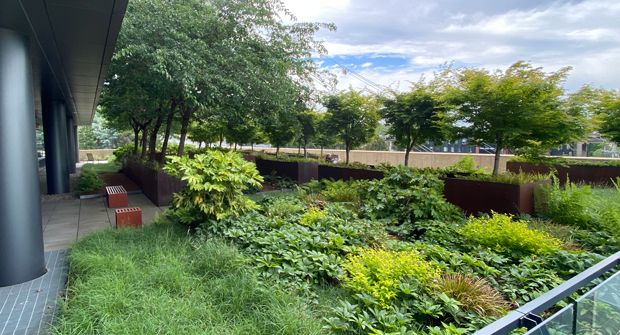 (Photo courtesy of Pacific Landscape Management)
