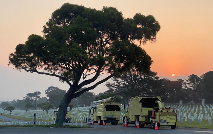 (Photo: Bartlett Tree Experts)