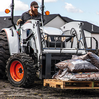 Photo: Bobcat
