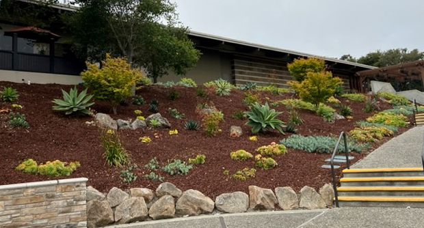 (Photo: Gachina Landscape Management)
