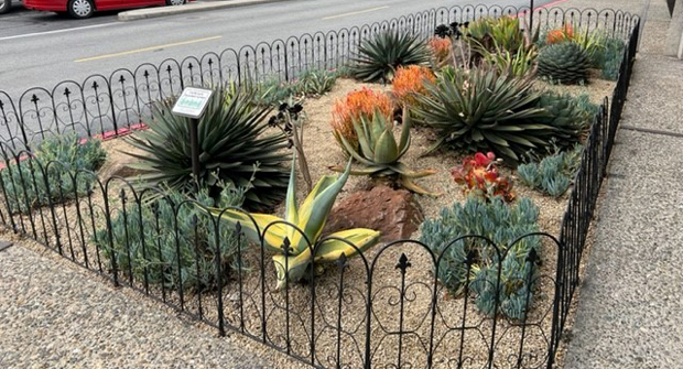 (Photo: Gachina Landscape Management)