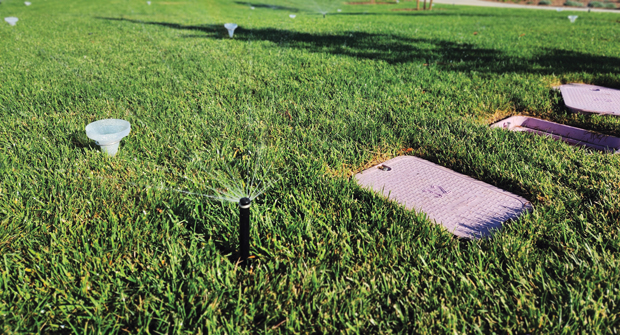 Creating separate lines for turf and for planters and adding Hunter MP Rotators at 45 PSI helped this HOA reduce its water use by 40 percent. (Photo: Harvest Landscape Enterprises)