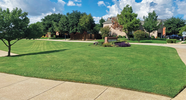 A public improvement district north of Fort Worth contacted Southern Botanical to help fix an ailing irrigation system that used three times more water in 2022 than it had in the previous years. (Photo courtesy of Southern Botanical)