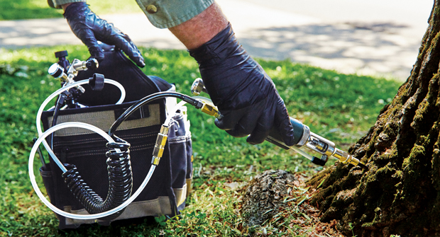 Plant health care checks work the best when done routinely, even if you don’t discover any issues. (Photo: Arborjet | Ecologel)