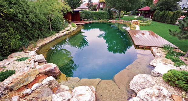 Experts say that natural swimming pools and ponds will continue to build popularity throughout the new year. (Photo: Atlantic-Oase)