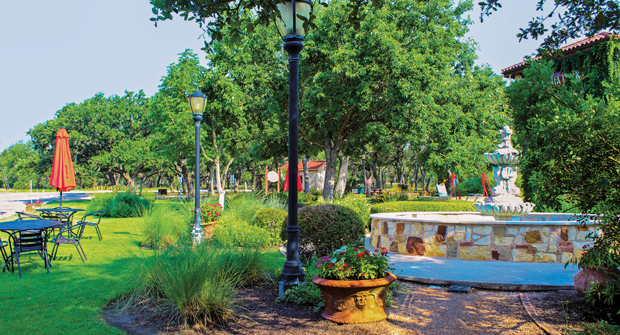Maintenance crews focus on regular cutbacks across the landscape to help trees and shrubs remain healthy. (Photo: Clean Scapes)