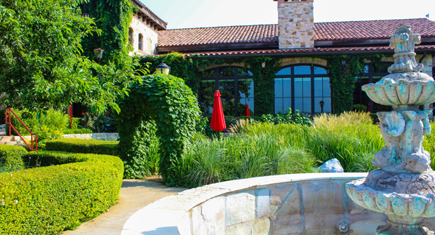 Alongside Dianthus Amazon, the client requested irises in some of the high-traffic areas of the property. (Photo: Clean Scapes)