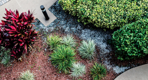 (Photo: JonGorr / iStock / Getty Images Plus / Getty Images)