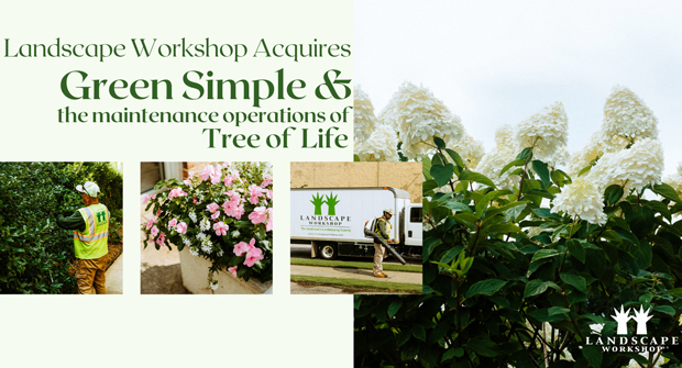 Graphic: Landscape Workshop