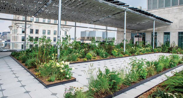 Because of extreme differences in natural lights on the terrace following the installation of the overhang structure, the contractor developed specific plant palettes for the two zones. The area that receives full sun features several different perennial grasses and flowers. (Photo: John Mini Distinctive Landscapes)