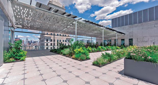 Despite the challenge presented by its location in a busy New York City borough, the installation process ran smoothly thanks to clear communication between the contractor and the client. (Photo: John Mini Distinctive Landscapes)