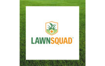 Photo: Lawn Squad