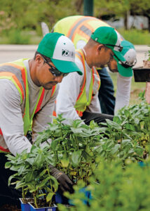 Community service has been a hallmark for Designscapes Colorado, No. 79 on the 2024 LM150 list. (Photo courtesy of Designscapes Colorado)