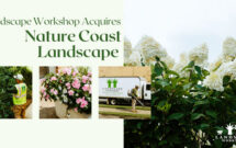 (Photo: Landscape Workshop)