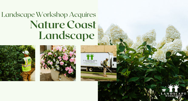 (Photo: Landscape Workshop)