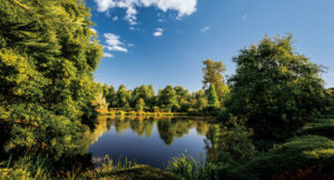 A riparian edge surrounds the campus’ main pond. Mauricio Flores, associate branch manager, says good water clarity and color is a big goal for his team. (Photo: Pacific Landscape Management)