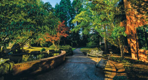 Flores says because the property is older, Pacific Landscape Management balances a mixture of rejuvenation and preserving the existing vegetation. (Photo: Pacific Landscape Management)
