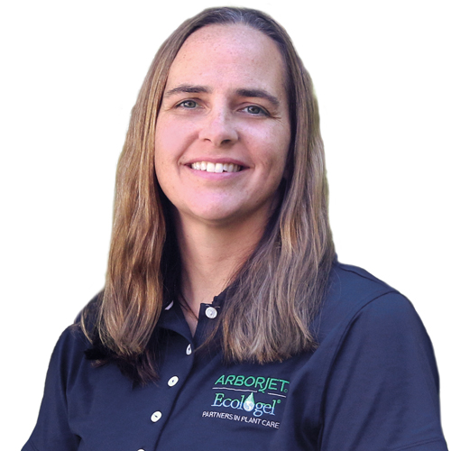 Rebecca Knapp