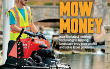 LM February 2020