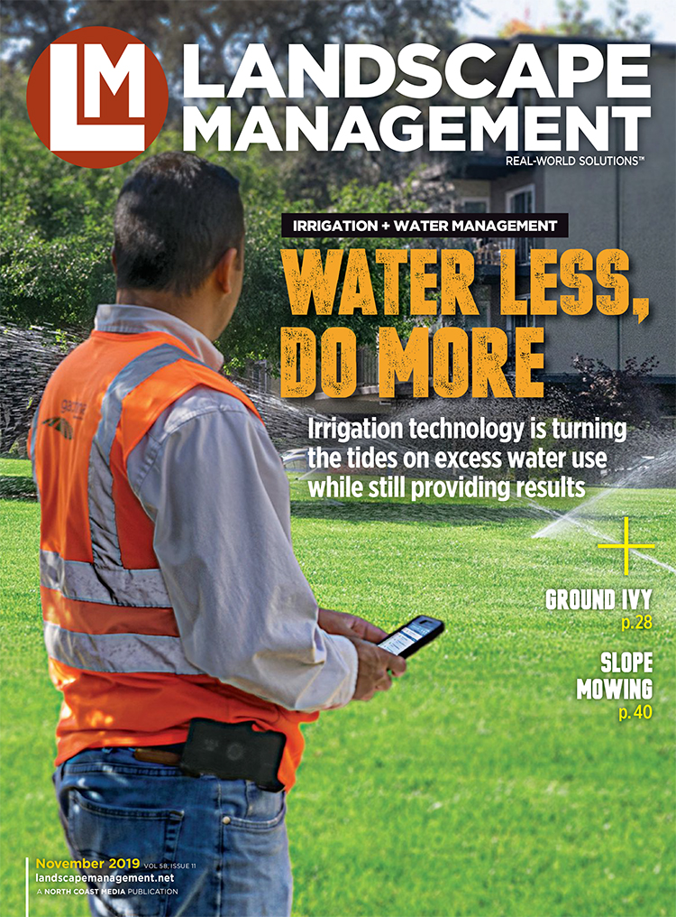 LM November 2019 Cover