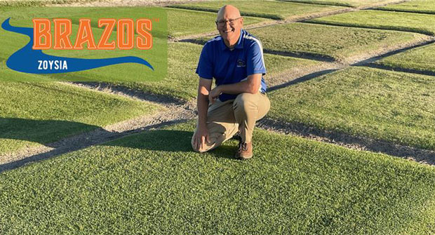 Professor Dr. Kevin Kenworthy on a Brazos plot (Photo: Brazos Zoysia)
