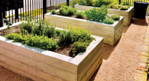 Materials for the Silo Farm were thoughtfully designed and built. The contractor constructed these planters with concrete and a wood finish to provide durability. (Photo: EdgeForm Landscape Management)