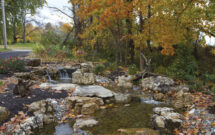 More than meets the eye: Water features can add a lot to your landscapes, so knowing how to care for them is critical. (Photo: Atlantic-Oase)