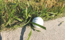 The thick, stiff leaves of nutsedge not only grow faster than other turfgrasses, but they often cut unevenly and unsightly when mowed. (Photo: Chris Butcher; Getty Images: DNY59 / E+, boschettophotography / iStock / Getty Images Plus)