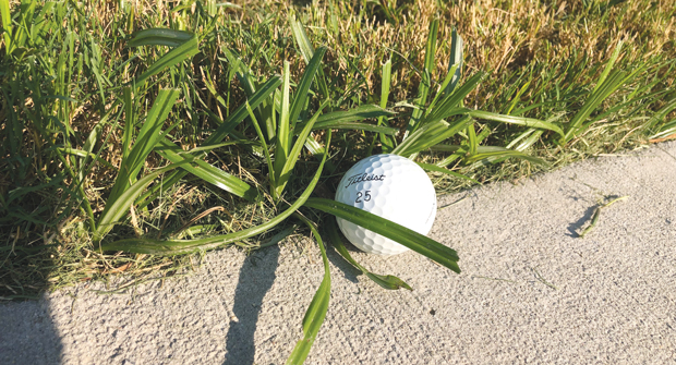The thick, stiff leaves of nutsedge not only grow faster than other turfgrasses, but they often cut unevenly and unsightly when mowed. (Photo: Chris Butcher; Getty Images: DNY59 / E+, boschettophotography / iStock / Getty Images Plus)