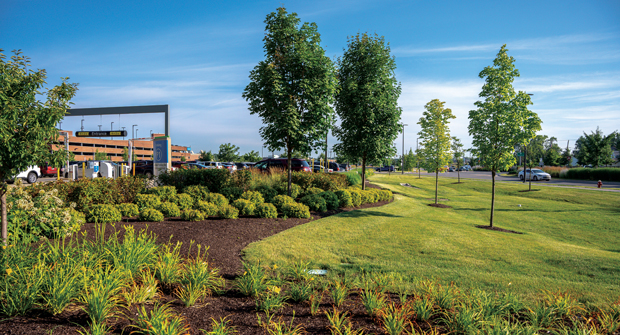 Redli says similar vegetation is lumped together to keep beds consistent and to give the property a park-like feel for guests. (PHOTOS: Courtesy of Yellowstone Landscape)