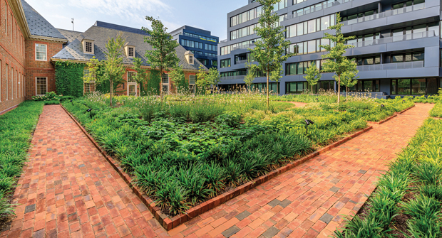 Green spaces across the site help reduce heat while also providing areas for residents and employees to enjoy. (Photo: Ruppert Landscape)