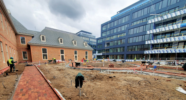 The owner of the site brought in a soil consultant to ensure the needs of the plantings were met. (Photo: Ruppert Landscape)