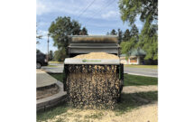 Photo: Earth & Turf Products