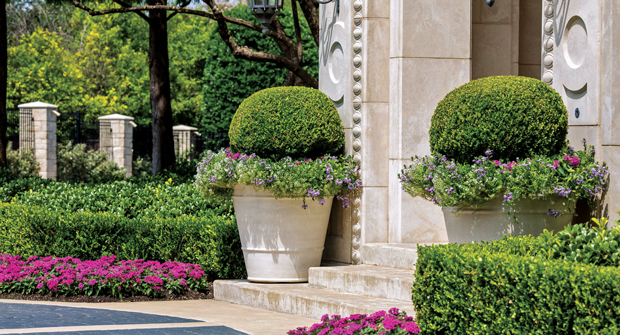 More depth was recently added to the seasonal color beds to bring the client’s vision of a cheerful, welcoming environment at the home’s entrance to life. (Photo: Southern Botanical)