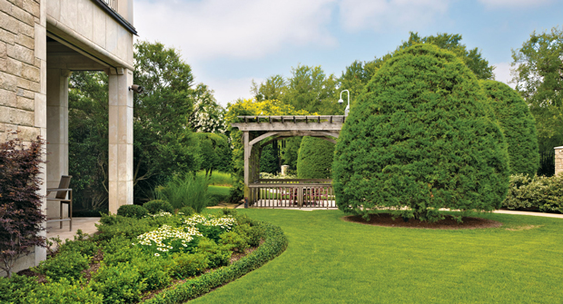 Japanese maples are the client’s favorite tree, so one was added amongst the newly designed and planted bed to achieve additional height. (Photo: Southern Botanical)