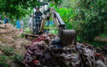 Photo: Bobcat Company