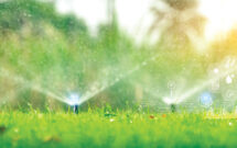 Photo: Fahroni / iStock / Getty Images Plus / Getty Images