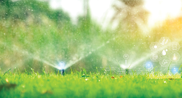 Photo: Fahroni / iStock / Getty Images Plus / Getty Images