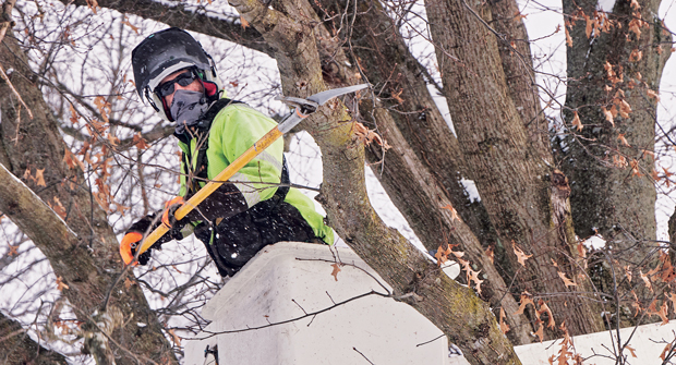 High and (not) dry: Watering your trees late in the season is an important part of making sure they stay healthy throughout the winter. (Photo: Davey Tree)