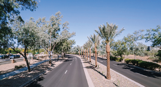 A major part of this project was improving the aesthetics of medians lining the entrance to the Scottsdale Princess Resort. (Photo: LandCare)