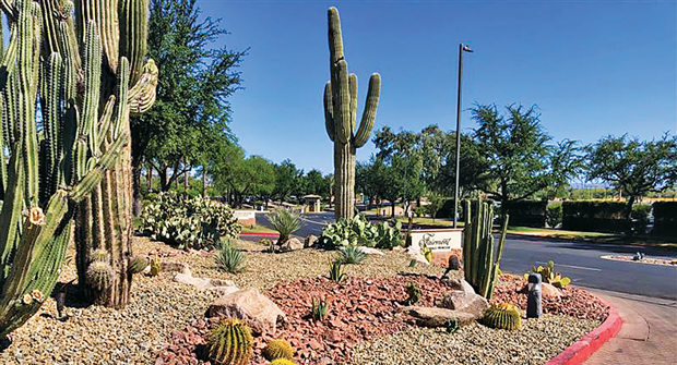 LandCare kept with the desert theme of the resort with red-colored crushed rock to accent the succulents and cacti. (Photo: LandCare)