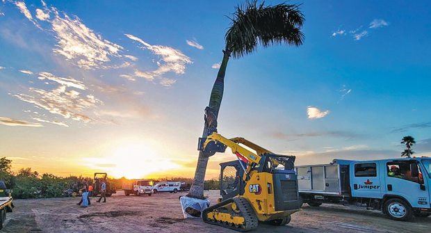 Based in Fort Myers, Fla., Juniper was the No. 10 fastest-growing firm on the 2024 LM150 list. (Photo: Courtesy of Juniper)