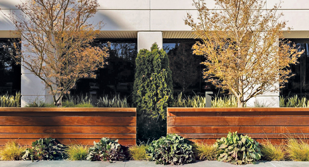The building is covered in large, dark windows that the company says absorb and reflect heat, amplifying the struggles many plant species would have at the property. (Photo: Gachina Landscape Management)