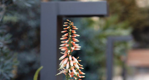  Properly irrigating and watering the plant material has been a big task for the property, and routine checks to make sure everything is working properly is crucial in the summer months. (Photo: Gachina Landscape Management)  