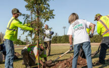 Photo: Project EverGreen