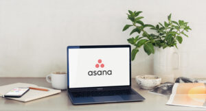Photo: Asana