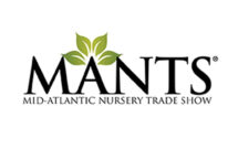 Photo: MANTS
